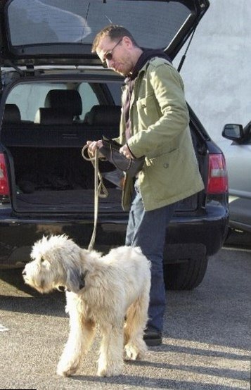 Tim Roth car  Audi 6  Tim Roth car