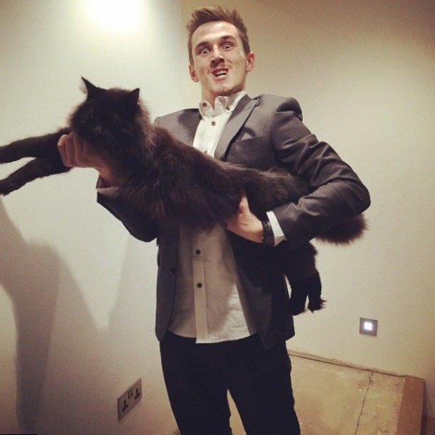 Tom Cassell Net Worth