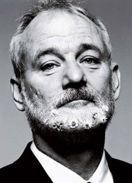 Bill Murray Net Worth
