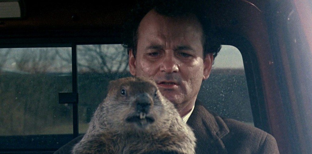 Bill Murray Net Worth