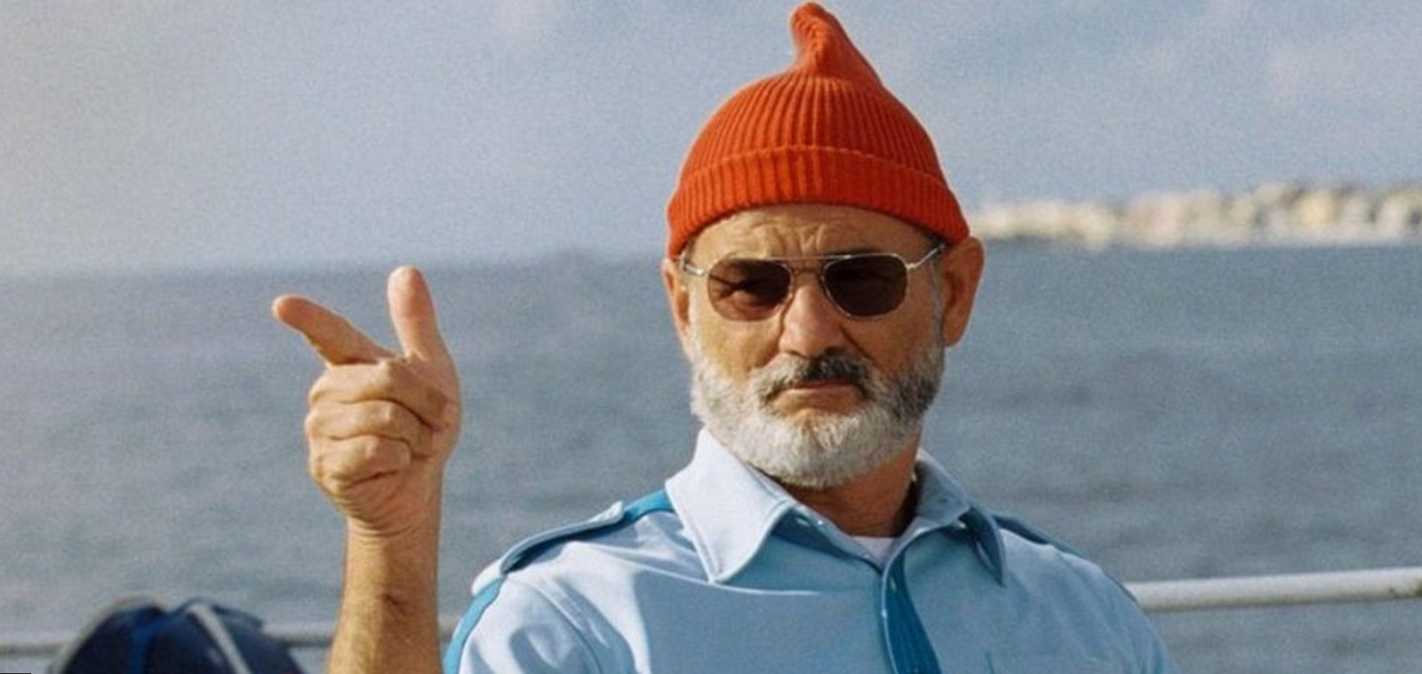 Bill Murray Net Worth
