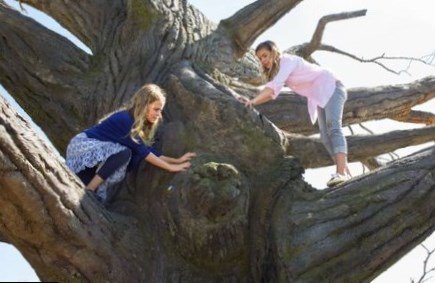 Brighton Sharbino Net Worth