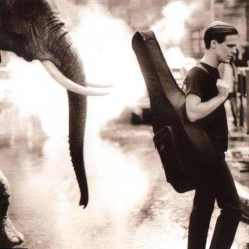 Bryan Adams Net Worth