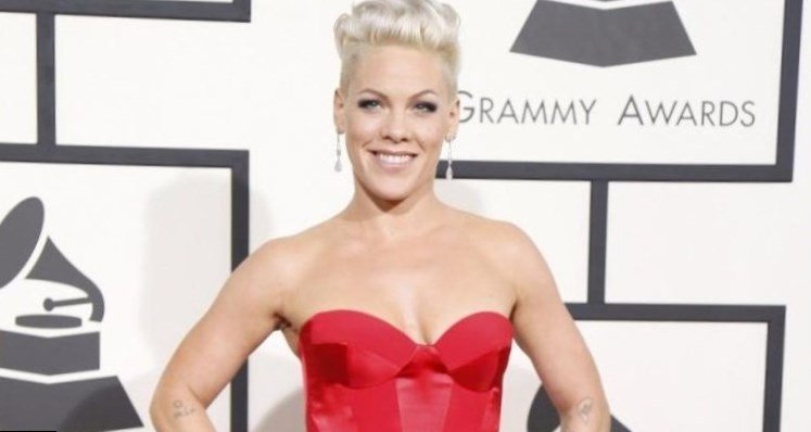 Pink Net Worth