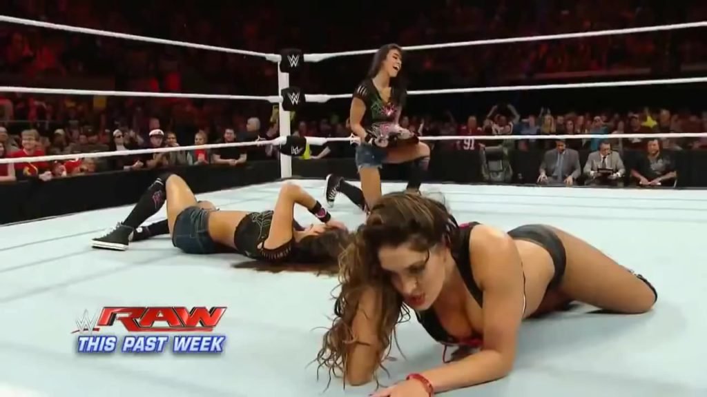 AJ Lee net worth AJ Lee net worth