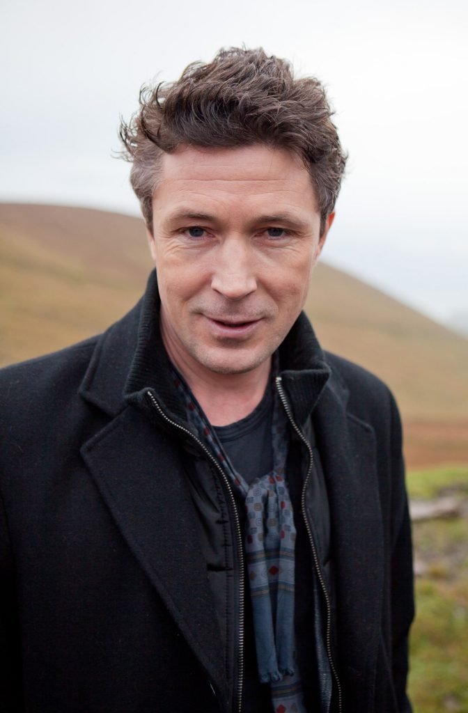 Aidan Gillen net worth
