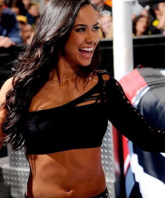 A.J. Lee incomes A.J Lee net worth