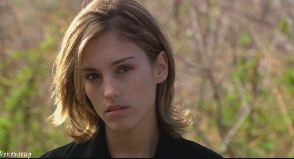 Amy Jo Johnson net worth Amy Jo Johnson net worth