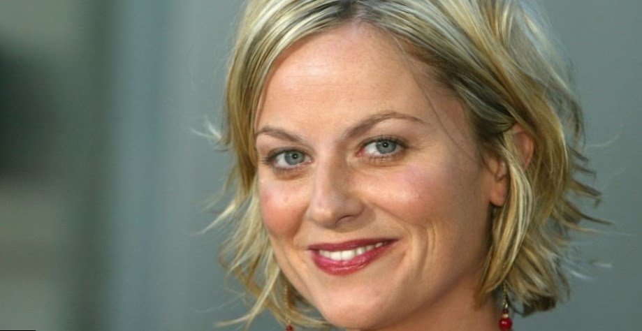 Amy Poehler net worth Amy Poehler net worth