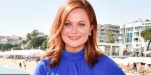 Amy Poehler net worth Amy Poehler net worth
