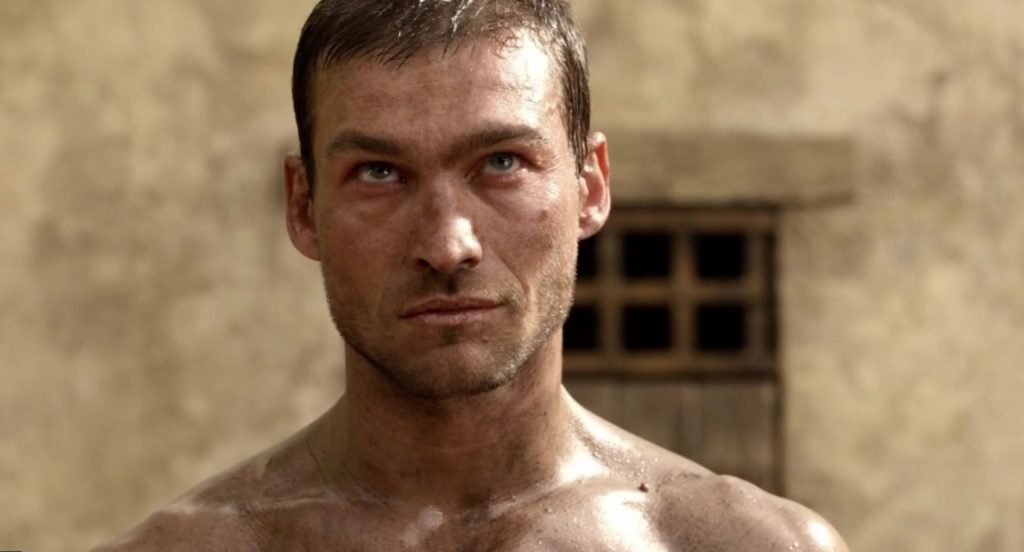 Andy Whitfield net worth